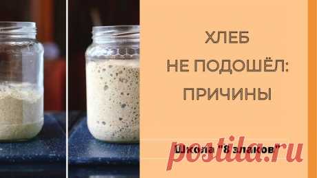 Почему хлеб не &quot;подошёл&quot;.