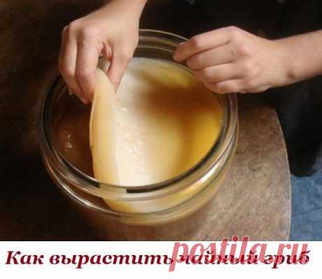 (20) Одноклассники