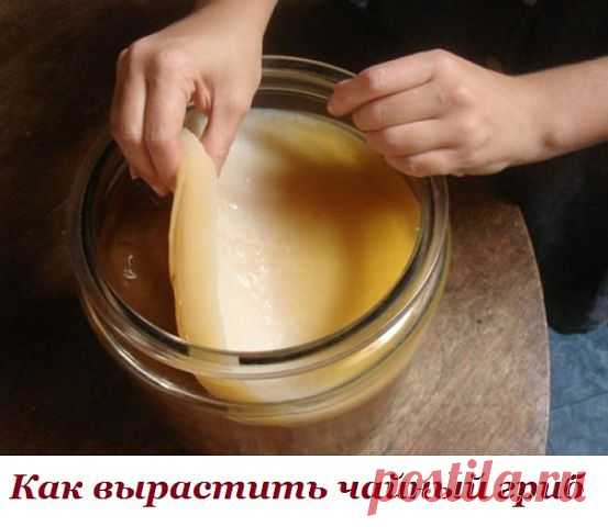 (20) Одноклассники