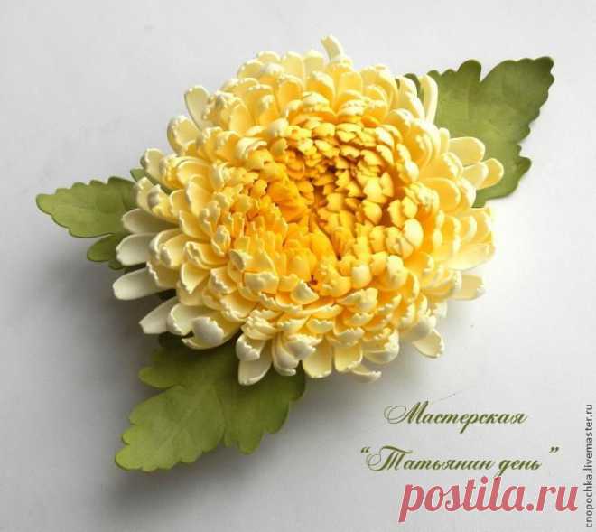 Хризонтема
