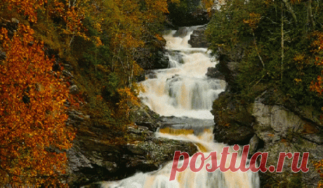 Мой Мир@Mail.Ru