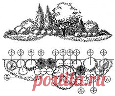 Загружаемые ландшафтные планы - Шеридан Питомники