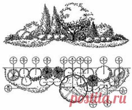 Загружаемые ландшафтные планы - Шеридан Питомники