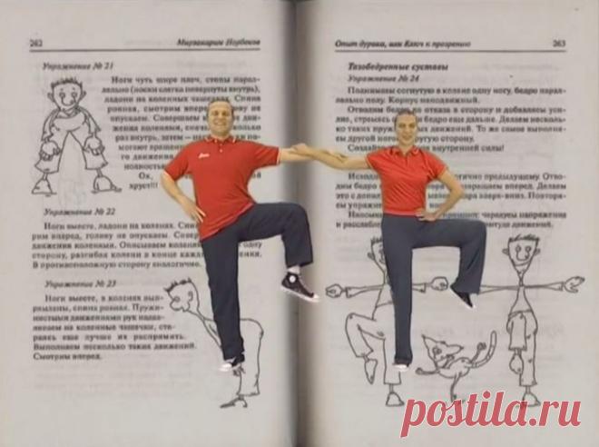 Дайджест информационного шума