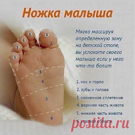 (6) Одноклассники