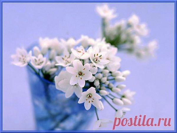 ЗАГОВОРЫ НАРОДНЫЕ ПРИМЕТЫ: ДВЕРИ ЖЕЛАНИЙ — симоронский ритуал!