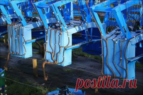 Британец выращивает мебель