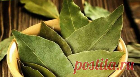 17 болезней, которые лечит ЛАВРОВЫЙ лист
Лавровый лист — замечательная специя, которая обладает потенциалом настоящей лекарственной травы. Пользуйтесь, приведенными в статье рецептами во благо своего здоровья, ведь они ничем не уступают дорогим и имеющим побочные эффекты медикаментам. Лавровый лист — настоящий «король» специй на кухне. Вряд ли найдется человек, которому не знаком его специфический вкус и аромат. За свои удивительные свойства и […]
Читай дальше на сайте. Жми подробнее ➡