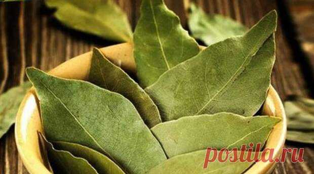 17 болезней, которые лечит ЛАВРОВЫЙ лист
Лавровый лист — замечательная специя, которая обладает потенциалом настоящей лекарственной травы. Пользуйтесь, приведенными в статье рецептами во благо своего здоровья, ведь они ничем не уступают дорогим и имеющим побочные эффекты медикаментам. Лавровый лист — настоящий «король» специй на кухне. Вряд ли найдется человек, которому не знаком его специфический вкус и аромат. За свои удивительные свойства и […]
Читай дальше на сайте. Жми подробнее ➡