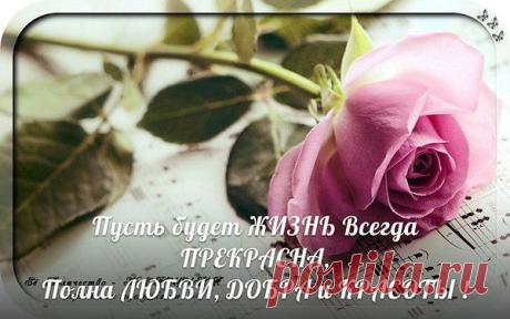 Доброго Вечера и ... Ночи ДРУЗЬЯ ...)
Пусть будет в доме МИР,
а в Сердце - СЧАСТЬЕ,
Пусть сбудутся Заветные МЕЧТЫ,
Пусть будет ЖИЗНЬ Всегда ПРЕКРАСНА,
Полна ЛЮБВИ, ДОБРА и КРАСОТЫ !