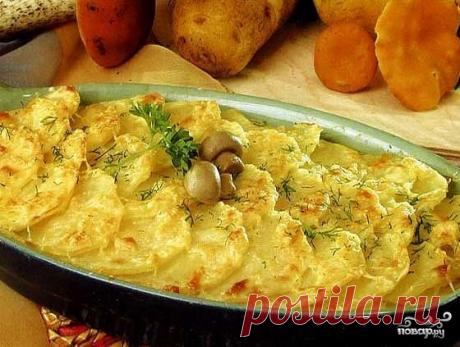 Запеканка с картофелем и грибами - пошаговый кулинарный рецепт на Повар.ру
