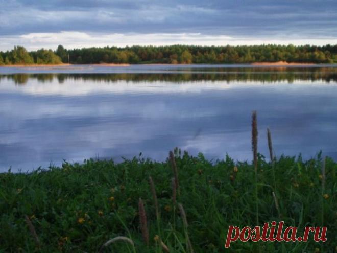 Живая вода. Сиверское озеро - Наука и жизнь