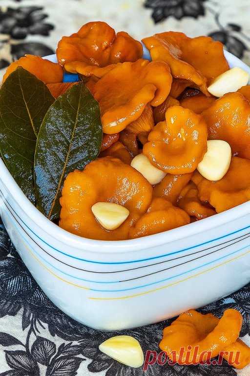 ЛИСИЧКИ В АРОМАТНОМ МАРИНАДЕ — ЗАГОТОВКА НА ЗИМУ

 Ингредиенты (на ~3 баночки по 0,5 л):
Лисички — 1,5 кг
Лук — 1 шт.
Чеснок — 2 зубчика
Маринад (на 250 мл воды):
Вода — 250 мл
Лавровый лист — 3 шт.
Сахар — 2 ст. л.
Соль — 1 ст. л.
Уксус 9% — 100 мл
Перец горошком — 6 шт.