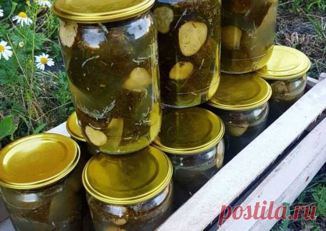Огурцы 🥒 