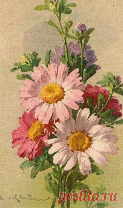 Pinterest