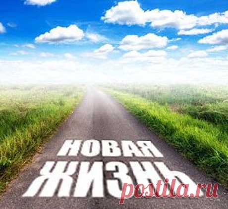 Блин, достало всё...Часть 2
https://www.blog-assorti.ru/blin-dostalo-vsyo-chast-2.html