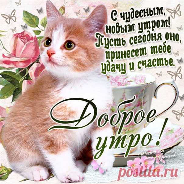 С чудесным утром музыкальная открытка Хорошего утреннего настроения анимация доброе утро мерцающие