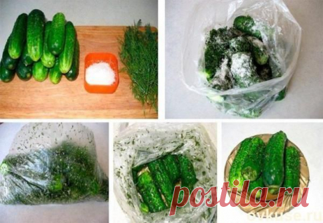 Огурчики получаются вкусные и хрустящие, а главное быстро! - Простые рецепты Овкусе.ру