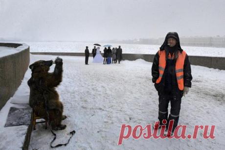 Уличная фотография Александра Петросяна
