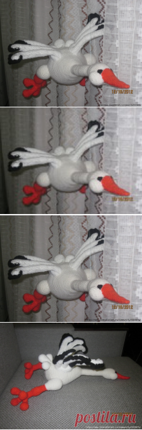 аист