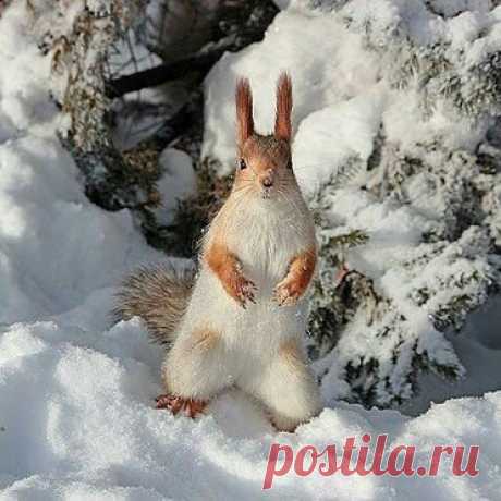 Людмила Заводникова