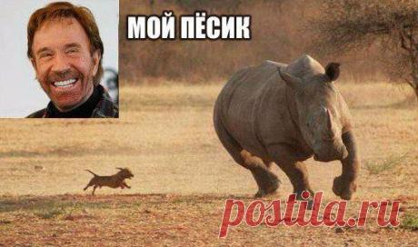 Анекдоты без перерыва (12 шт)