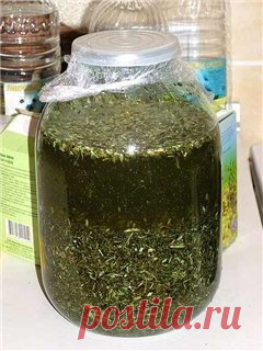 Очищаемся от паразитов!

Самый эффективный и доступный метод от паразитов и для общей чистки организма - пропить полынь горькую (лат. Artem?sia abs?nthium) и гвоздику в течении 21-го дня.

Рецепт от нас, испытавших это на себе.
Показать полностью…