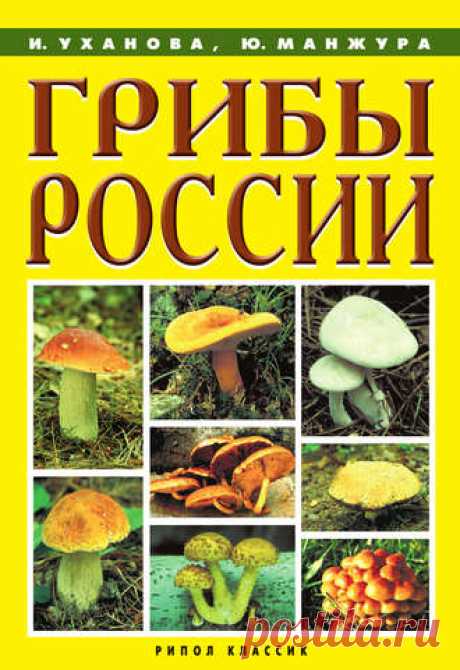 ГРИБЫ РОССИИ 

И. Уханова, Ю. Манжура
________________________ 
У нас много интересного! 
Вступайте в группу : ДУША РУСИ