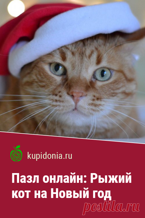 Пазл онлайн: Рыжий кот на Новый год. Красивый пазл онлайн с рыжим котом в новогоднем колпачке. Собирай пазлы на сайте!