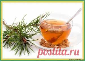 АНТИРАКОВАЯ ТАРЕЛКА | Женский журнал