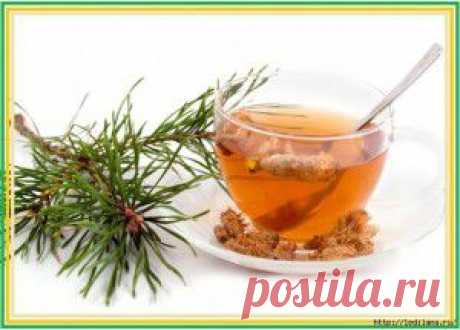 АНТИРАКОВАЯ ТАРЕЛКА | Женский журнал