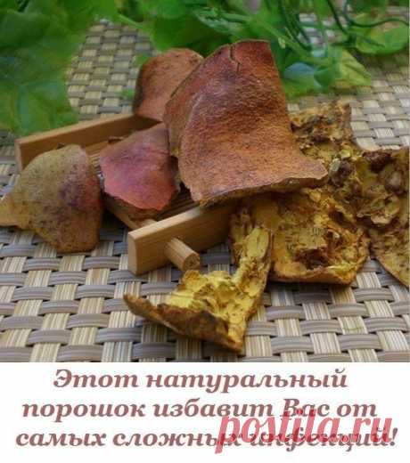 Этот натуральный порошок избавит Вас от самых сложных инфекций!

Хеликобактер пилори, дезентирийная палочка, возбудители сальмонеллёза, брюшного тифа, холеры, другие бактерии и даже паразиты покидают организм, принимающий водный раствор или порошок из корок плода граната. И происходит это быстро — в пределах недели.

Водный настой сухих корок плода граната применяют для лечения язвы (желудка или кишечника), а также для снятия воспалительного процесса в толстой кишке (колит...