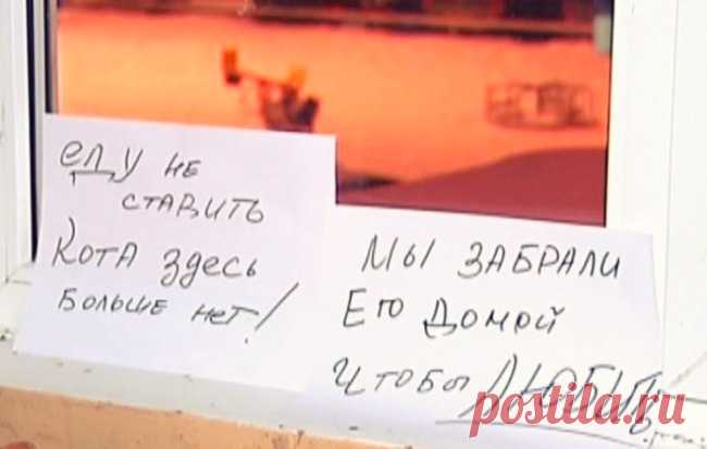 15 душевных объявлений из наших подъездов