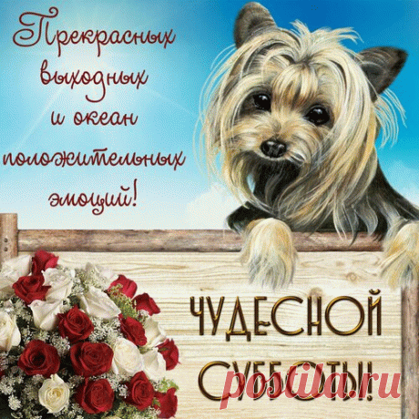 Позабыты все заботы,
Трудобудни позади —
На календаре суббота,
К ней в объятия иди!