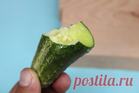 Собрал с грядки огурцы, а они все горчат, соседка подсказала, как решить проблему за несколько секунд  👉🏻
Огурчики в моем огороде растут не просто на радость, но и на удивление.
Еще ни разу не довелось видеть, чтобы они были горькими или перезрелыми.
Но в этом году, видимо, что-то пошло не так.
Все огурцы – и тепличные, и грунтовые – горчат.
Вот, например, один из последних собранных плодов.
Я его разрезал, а он внутри – горький!
Может быть, не стоит их есть?
Вдруг они отравятся или, того хуже…