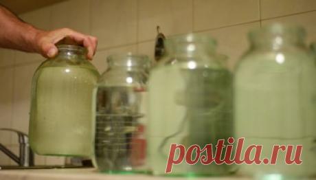 Живая и мертвая: можно ли пить воду из-под крана