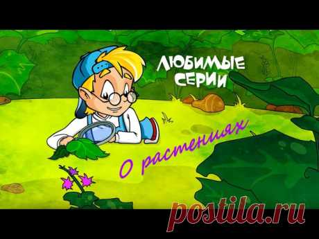 СБОРНИКИ ОБУЧАЮЩЕГО МУЛЬТФИЛЬМА 

Почему снег белый? 
Почему гремит гром? 
Почему страус прячет голову в песок? 
Откуда семечко знает, куда ему расти? 
Можно ли измерить окружность земли?