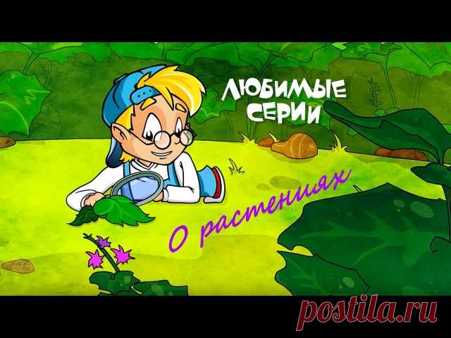 СБОРНИКИ ОБУЧАЮЩЕГО МУЛЬТФИЛЬМА 

Почему снег белый? 
Почему гремит гром? 
Почему страус прячет голову в песок? 
Откуда семечко знает, куда ему расти? 
Можно ли измерить окружность земли?