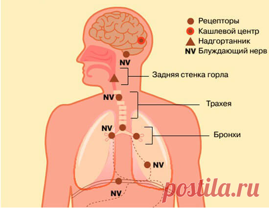 Методика Юрия Вилунаса избавления ОТ ДИАБЕТА