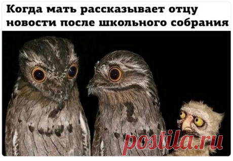 Новости