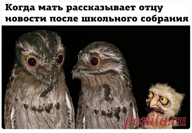 Новости