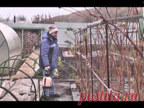 Советы бывалых дачников - отличное видео! Посмотрите - не пожалеете!.