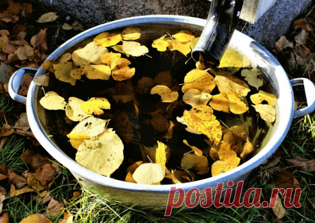 Календарь сезонных работ в саду: декабрь - Planetalsad