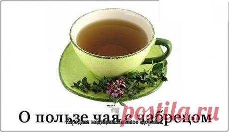 О ПОЛЬЗЕ ЧАЯ С ЧАБРЕЦОМ.