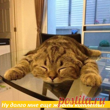долго еще ждать котлеты?