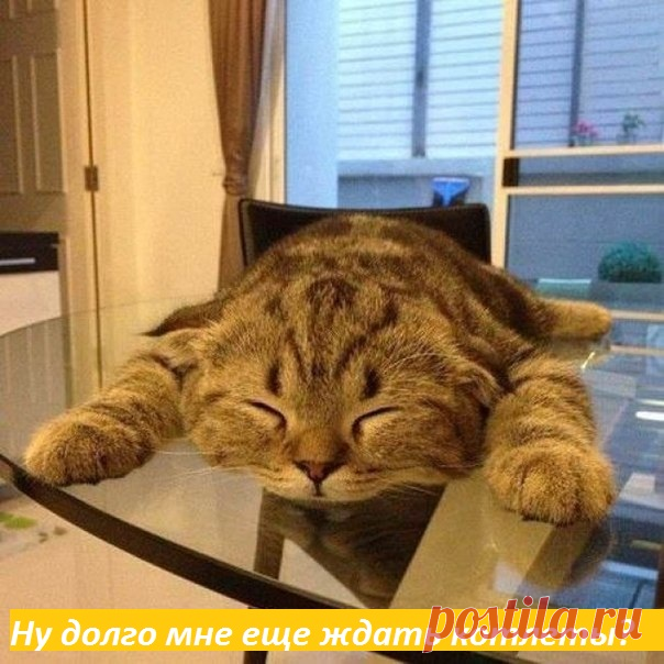 долго еще ждать котлеты?