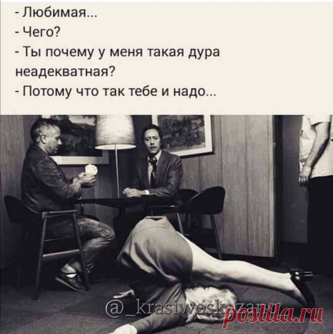 Выпуск №6403 - выпуск анекдотов сайта вокруг смеха