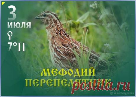 Поздравляю с прекрасным июльским праздником! Пусть этот день принесет благополучие, уют и гармонию, а вокруг будут только искренние и любящие люди. Открытки на Мефодий Перепелятник!