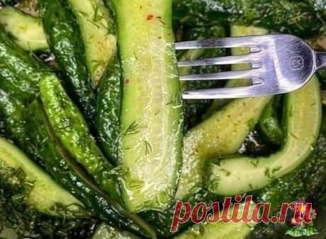 Самые вкусные малoсольные oурцы