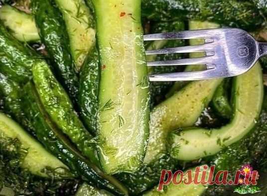 Самые вкусные малoсольные oурцы